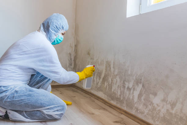 Licensed Mold Testing service in Fort Knox, KY - WQB Mold Removal