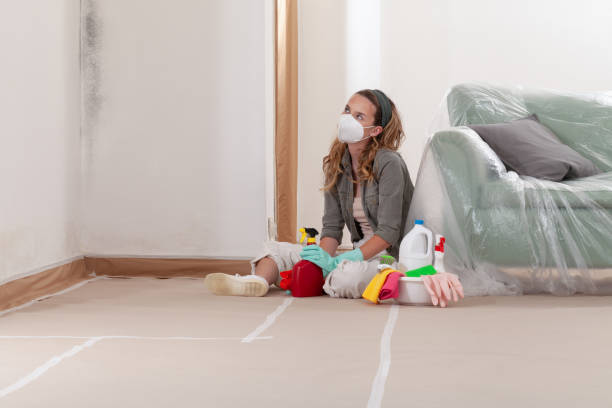 Reliable Mold Testing contractor in Fort Knox, KY by WQB Mold Removal